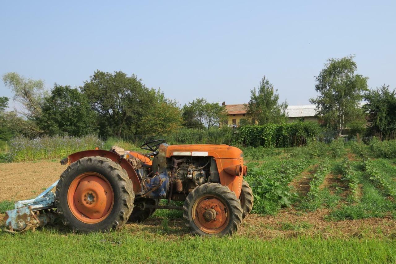 Fattoria Delle Rose Villa Salussola Ngoại thất bức ảnh