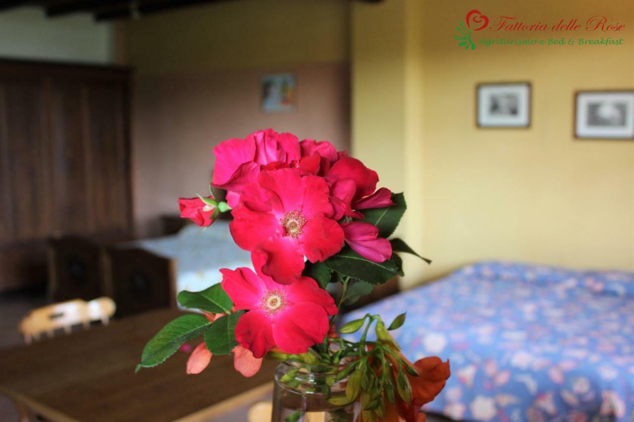 Fattoria Delle Rose Villa Salussola Ngoại thất bức ảnh