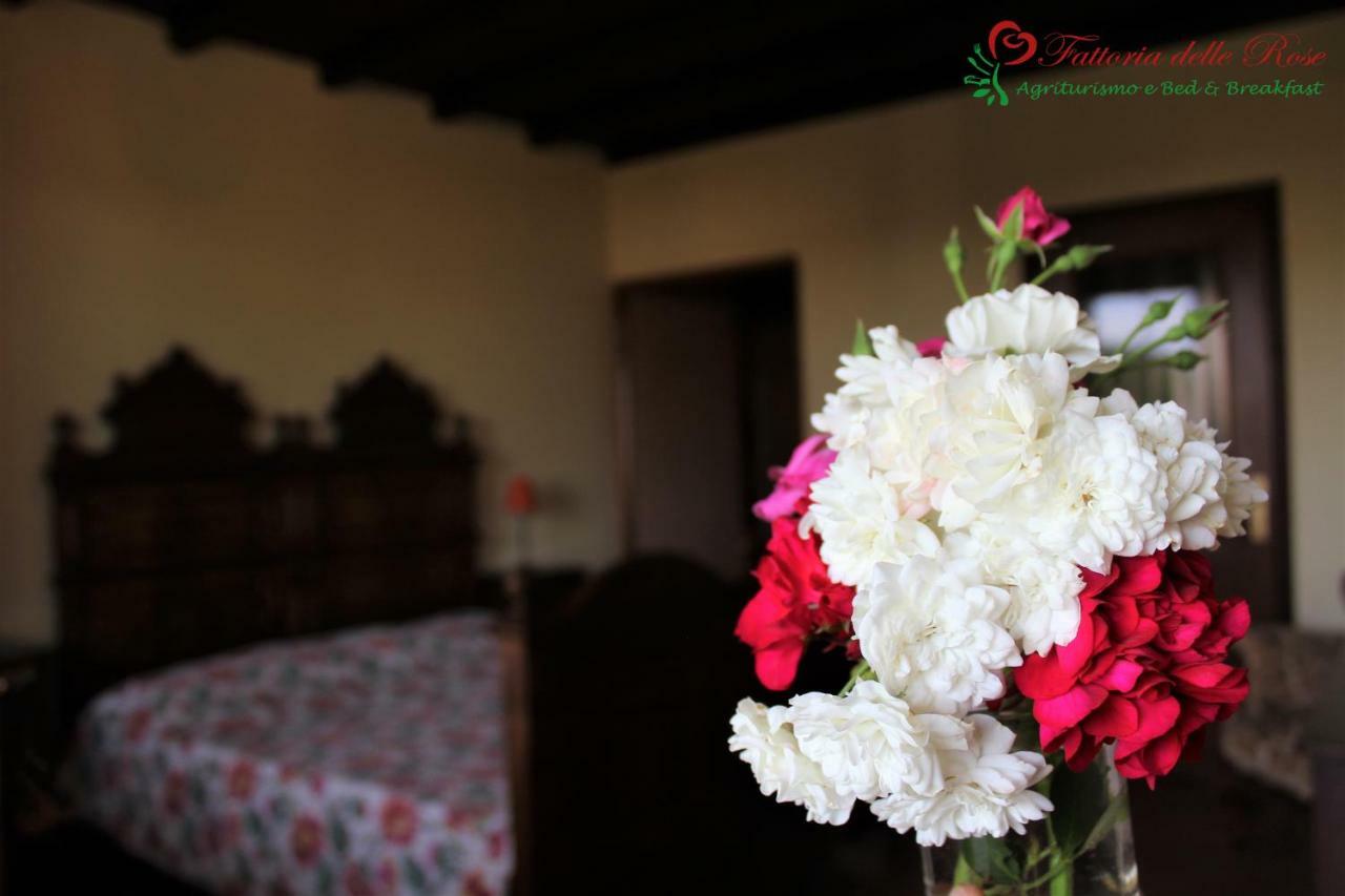 Fattoria Delle Rose Villa Salussola Ngoại thất bức ảnh